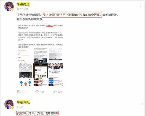 阿诺黑粉爆料视频最新,真相与争议并存